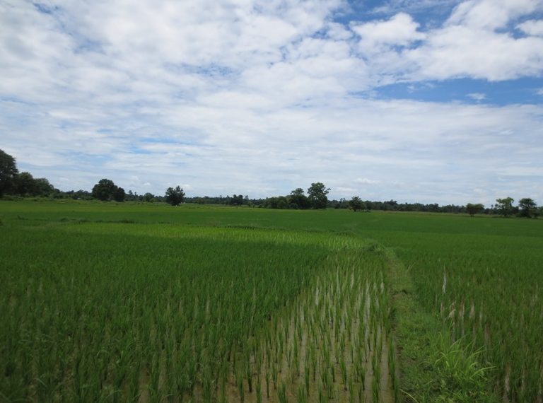 Land for sale (3)