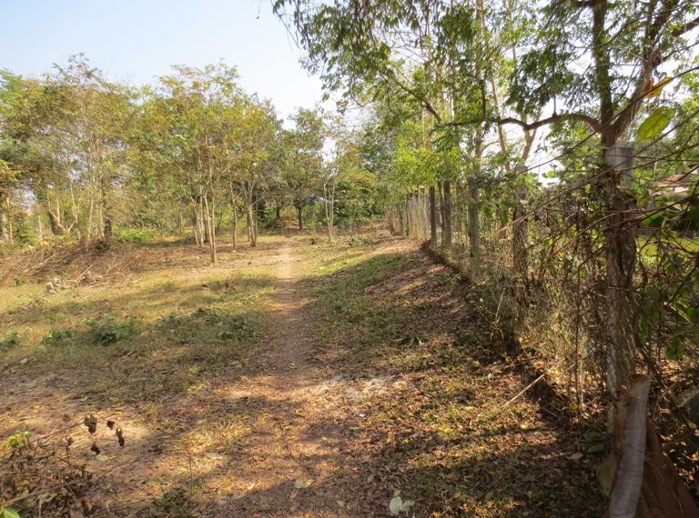 Land for sale (3)