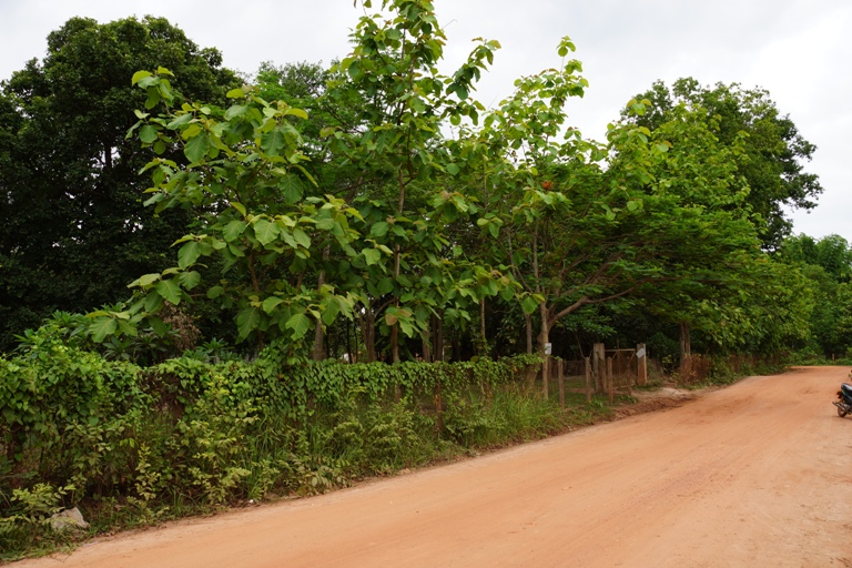 Land for sale (3)