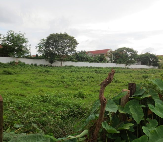 Land for sale (3)