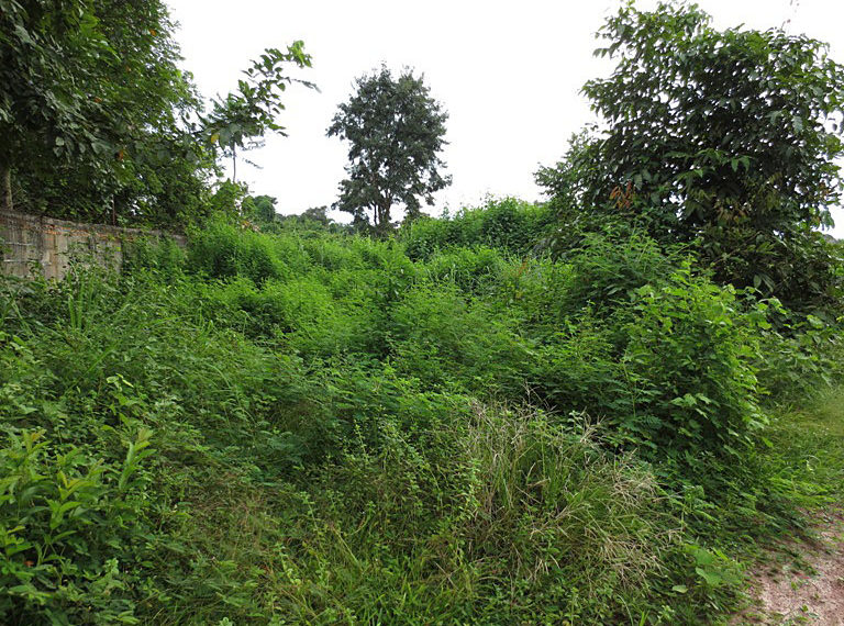 Land for sale (3)