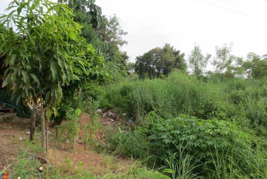 Land for sale (4)