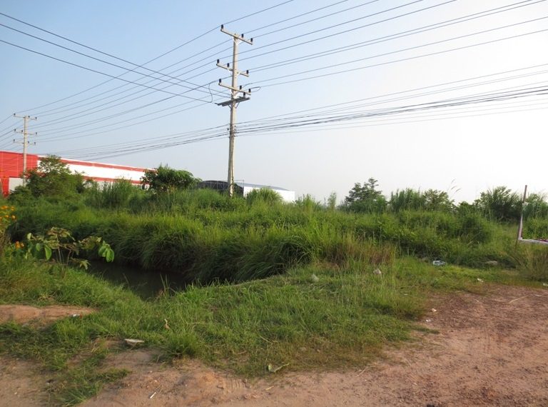 Land for sale (4)