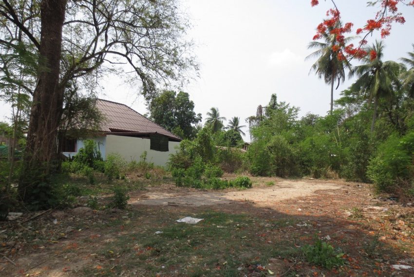 Land for sale (4)