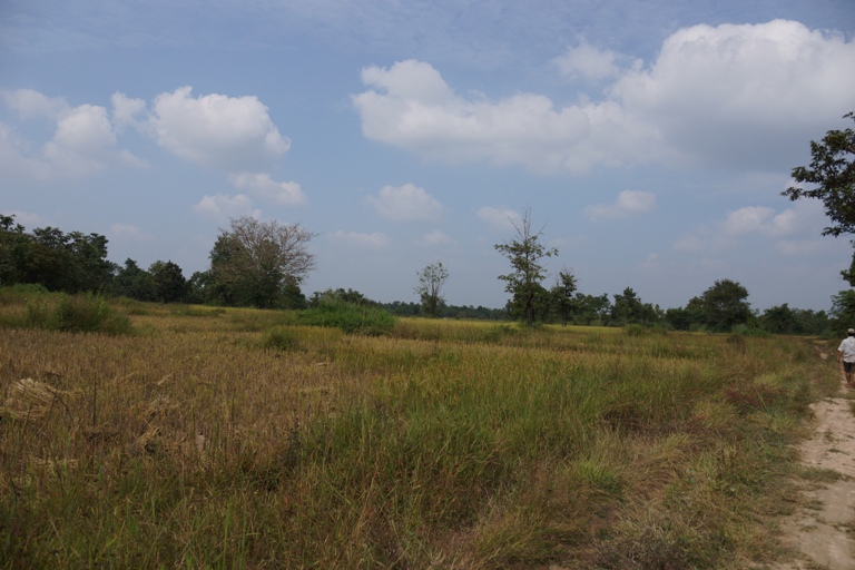 Land for sale  (4)