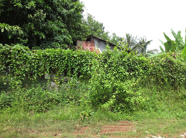 Land for sale (4)