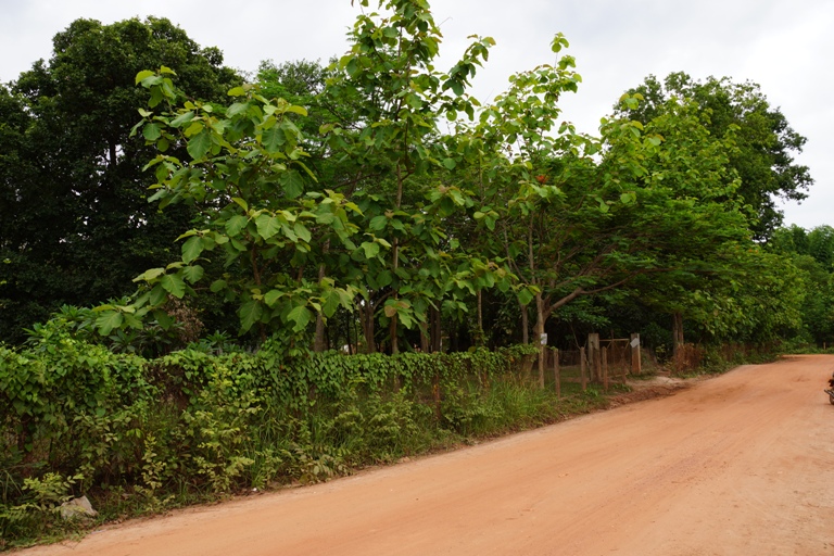 Land for sale (4)