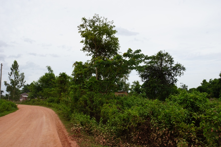 Land for sale (4)