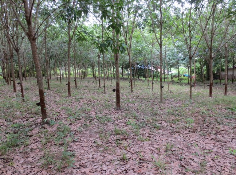 Land for sale (4)