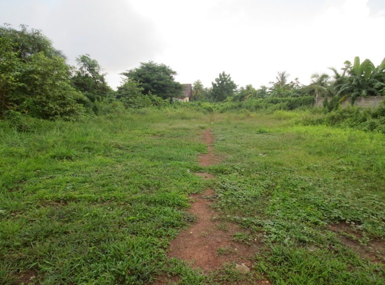 Land for sale (4)