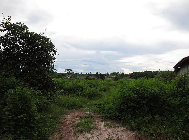 Land for sale (4)