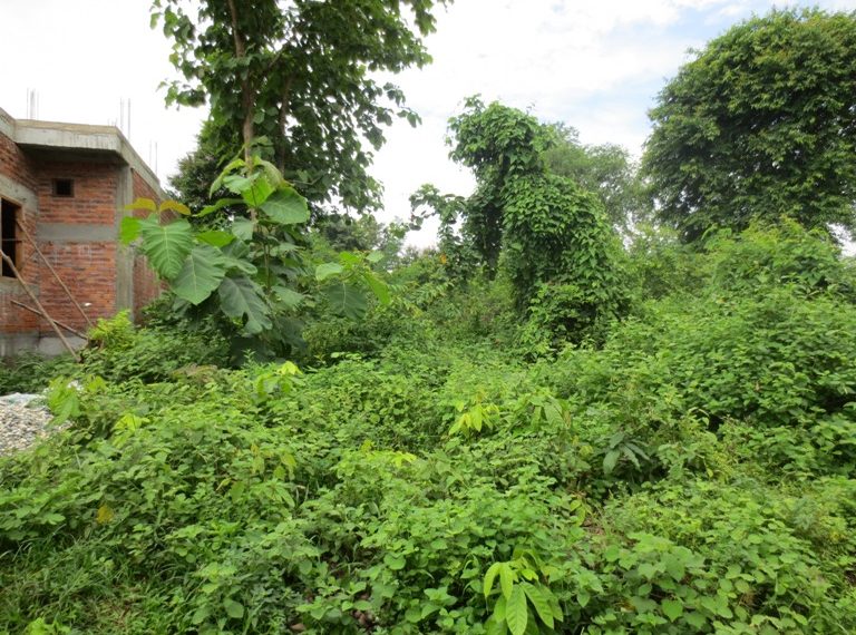 Land for sale (4)