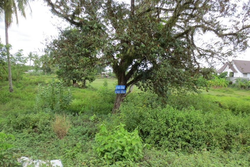 Land for sale (5)