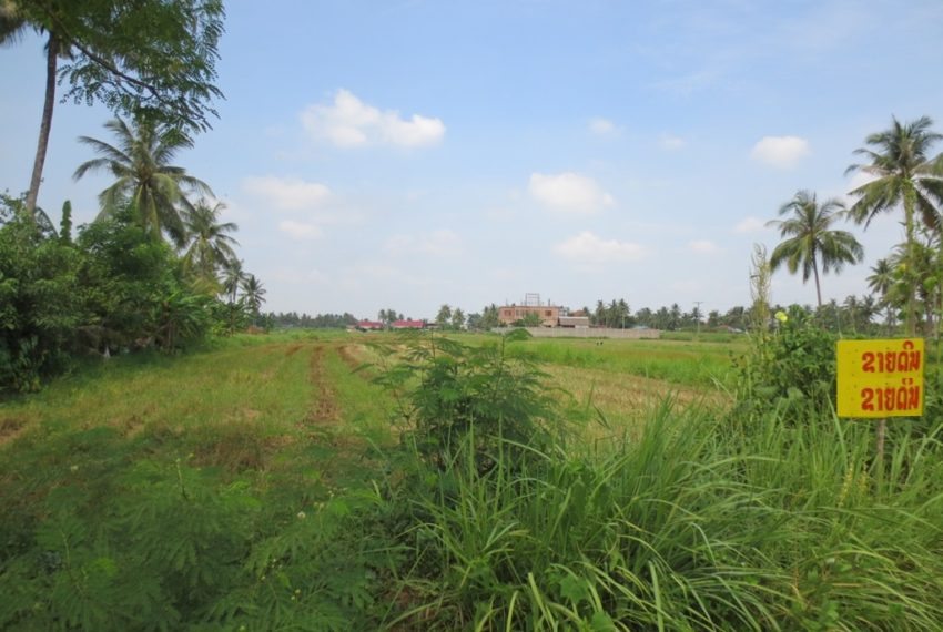 Land for sale (5)