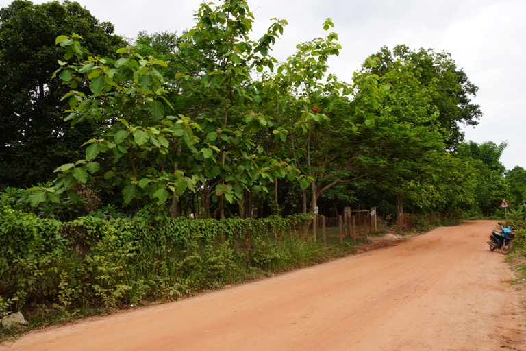 Land for sale (5)