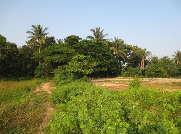 Land for sale (5)