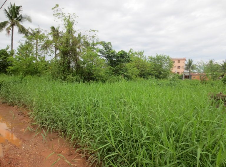 Land for sale (5)