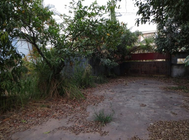 Land for sale (6)