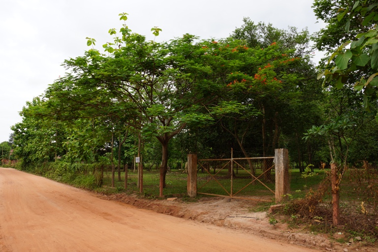 Land for sale (6)