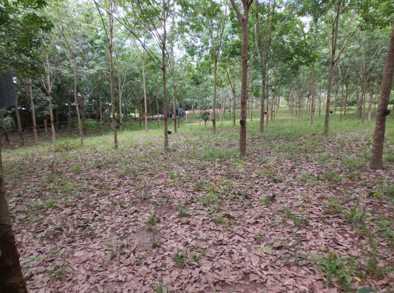 Land for sale (6)