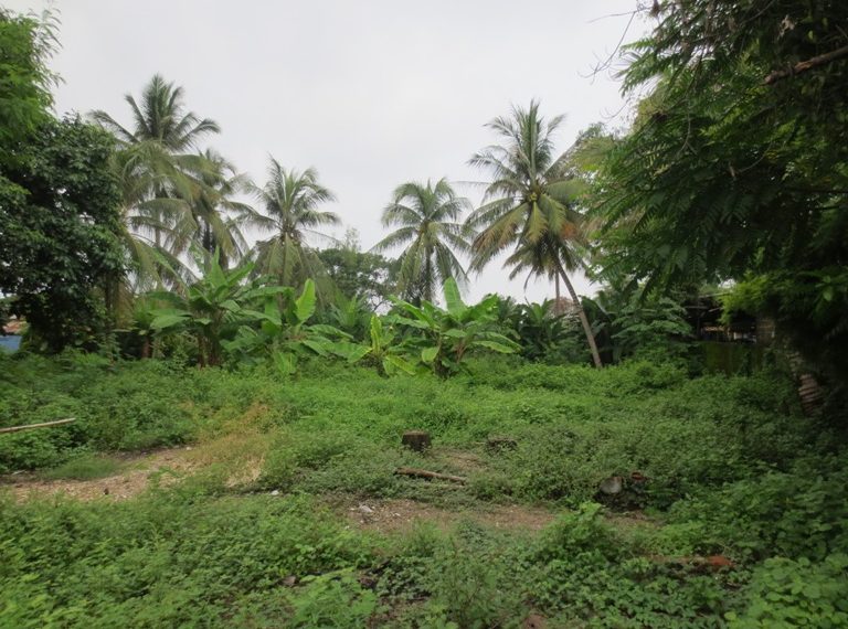 Land for sale (6)