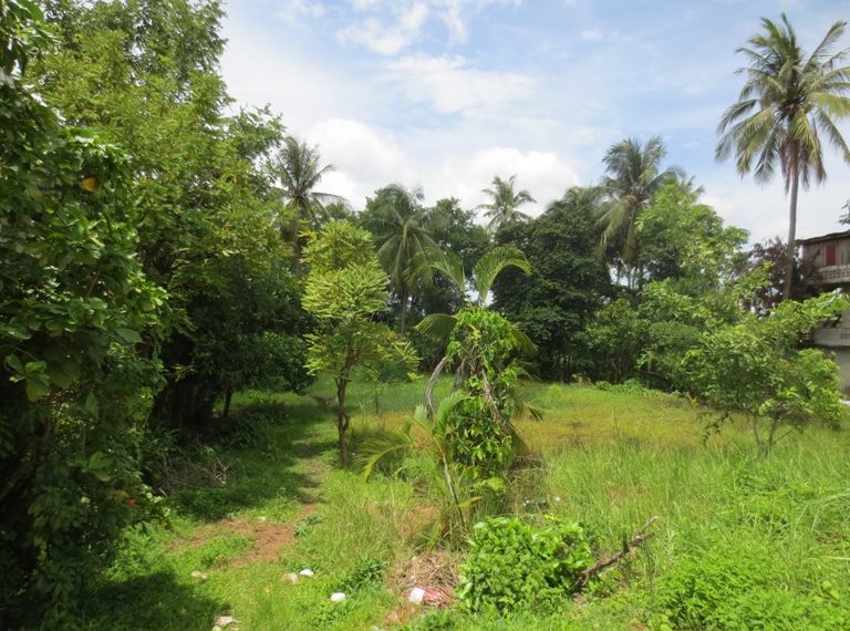Land for sale (6)