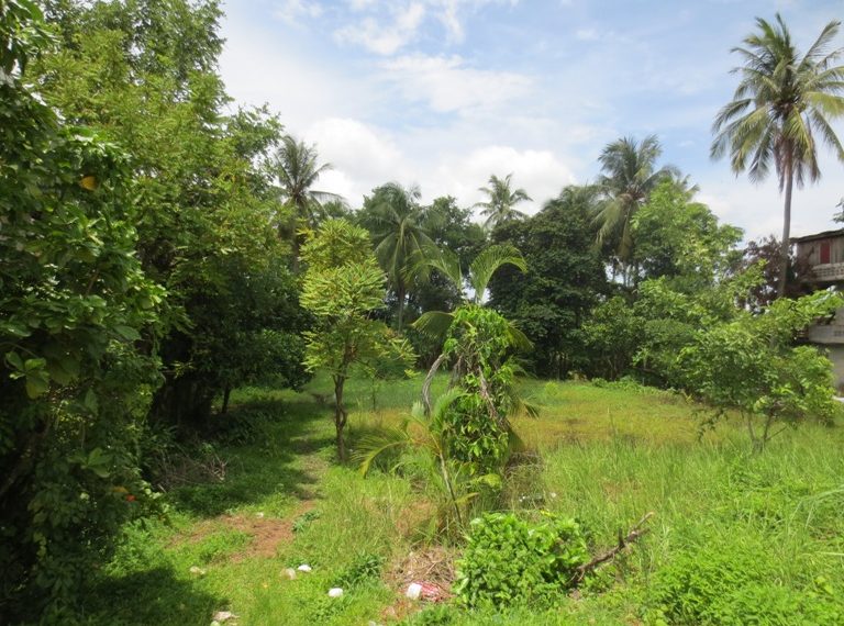 Land for sale (6)