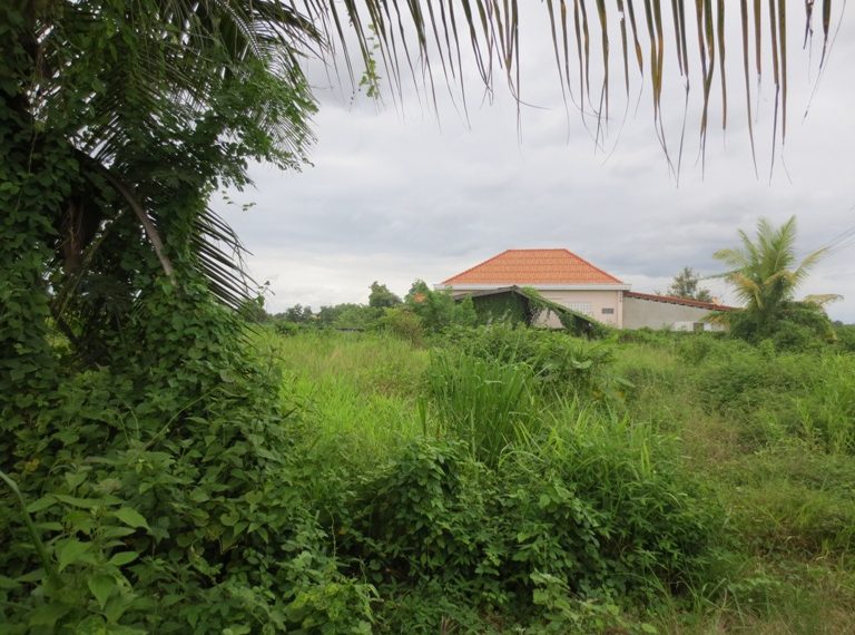 Land for sale (6)