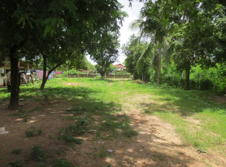 Land for sale (6)