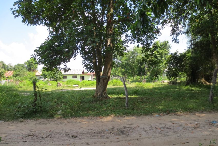 Land for sale (6)