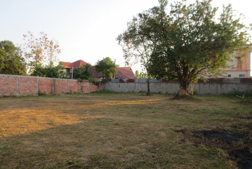 Land for sale (6)