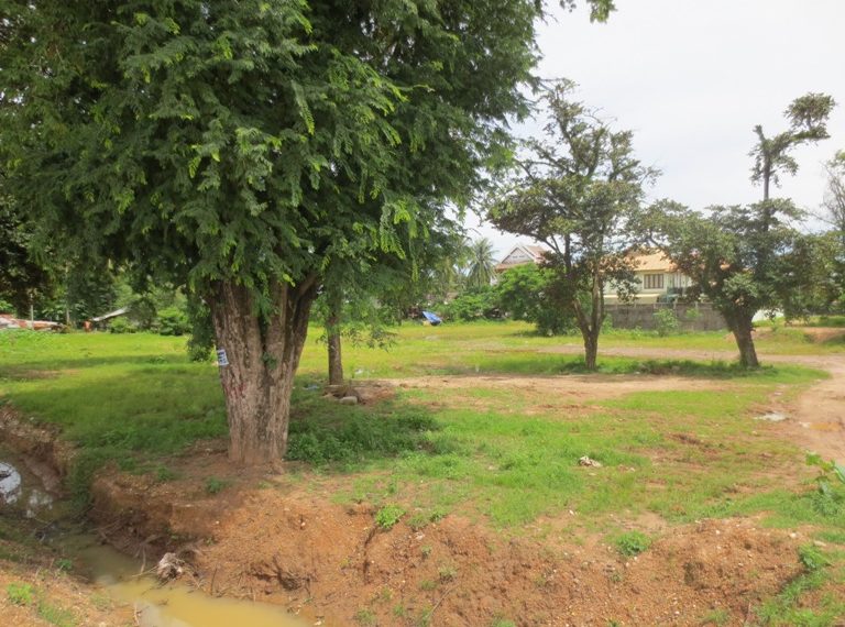 Land for sale (7)