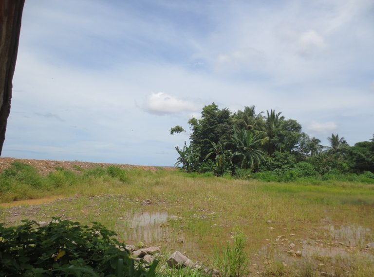 Land for sale (7)