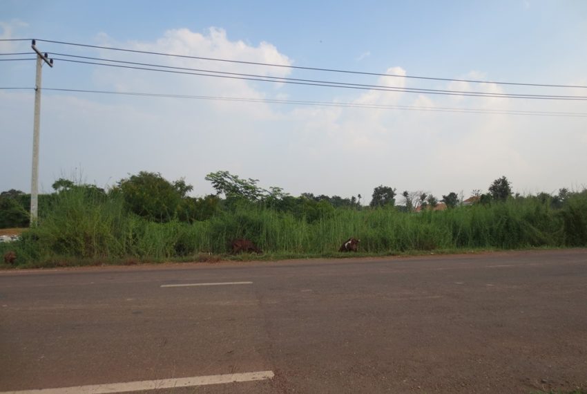 Land for sale (7)