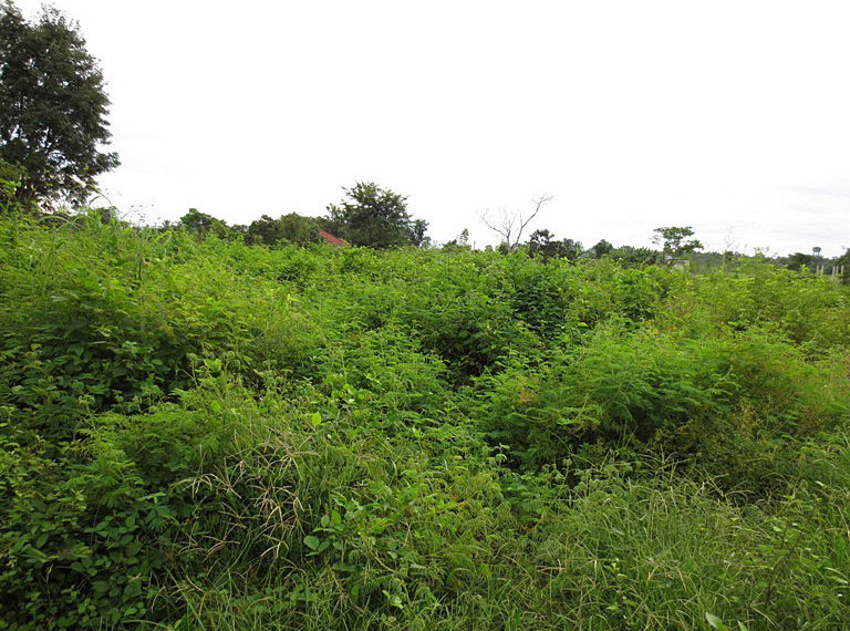 Land for sale (7)