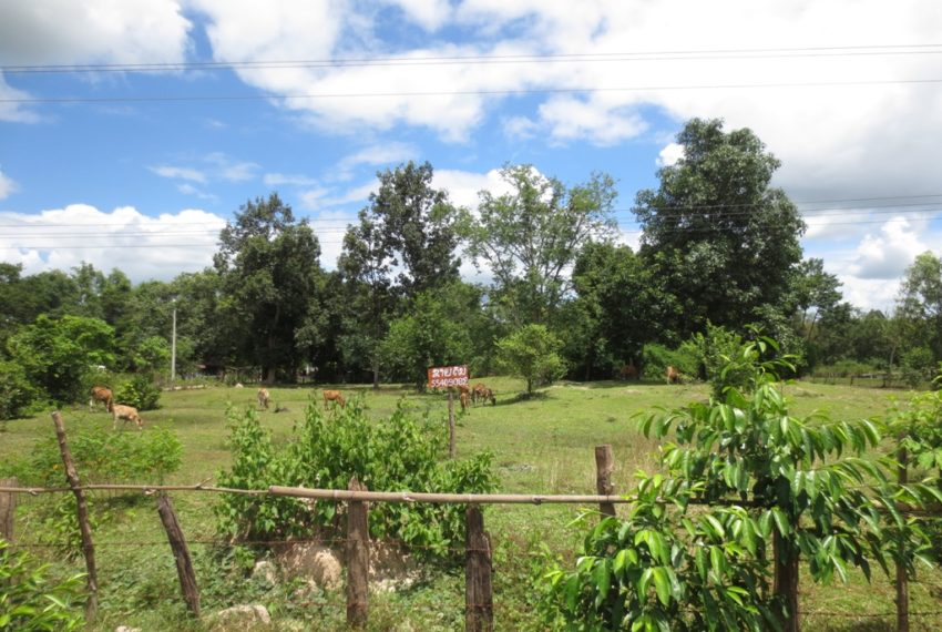 Land for sale (7)