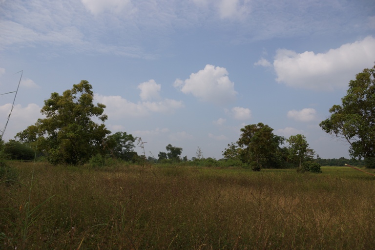 Land for sale  (8)