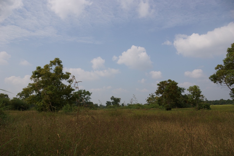 Land for sale  (9)