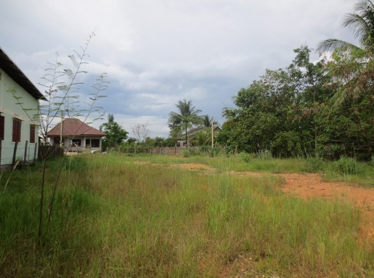 Land for sale (9)