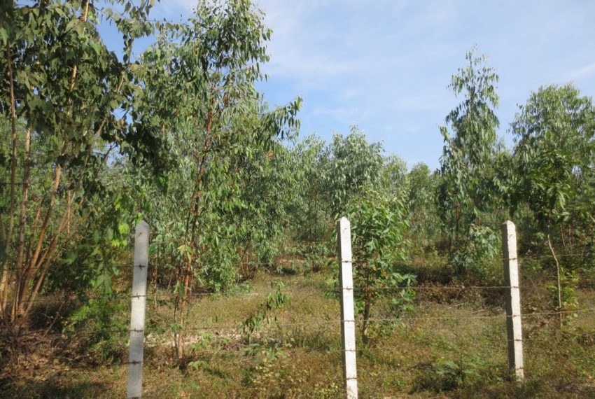 Land for sale (9)