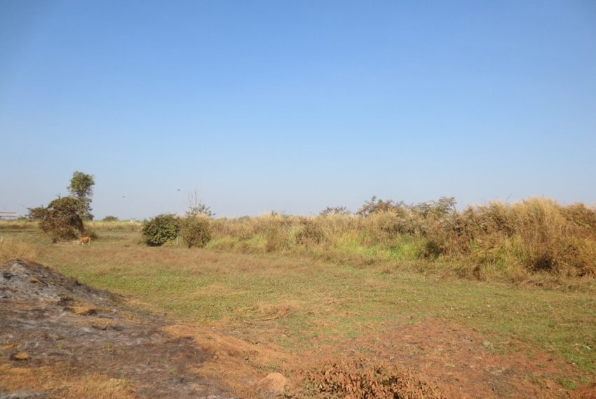 Land for sale (9)