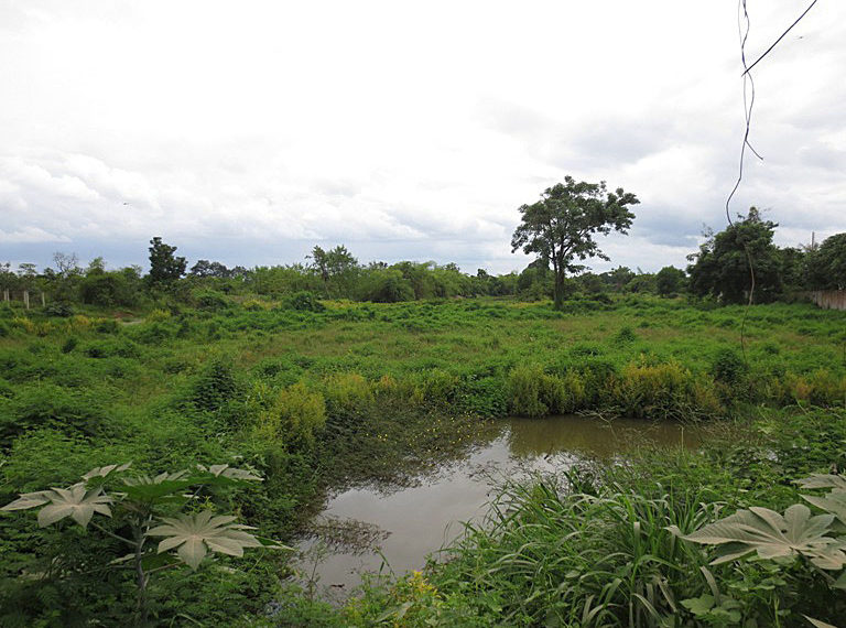Land for sale in Laos (1)