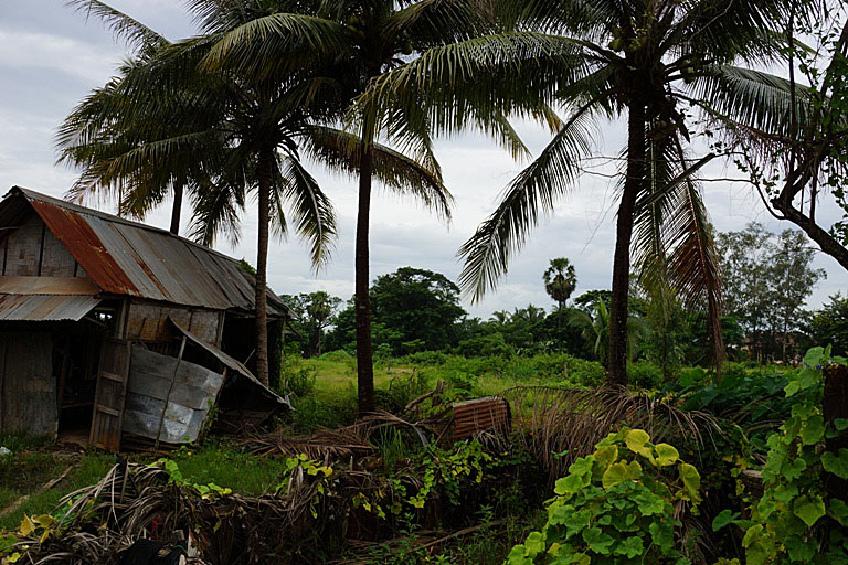Land for sale near Angkham Hotel (3)