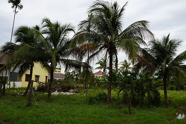 Land for sale near Angkham Hotel (6)