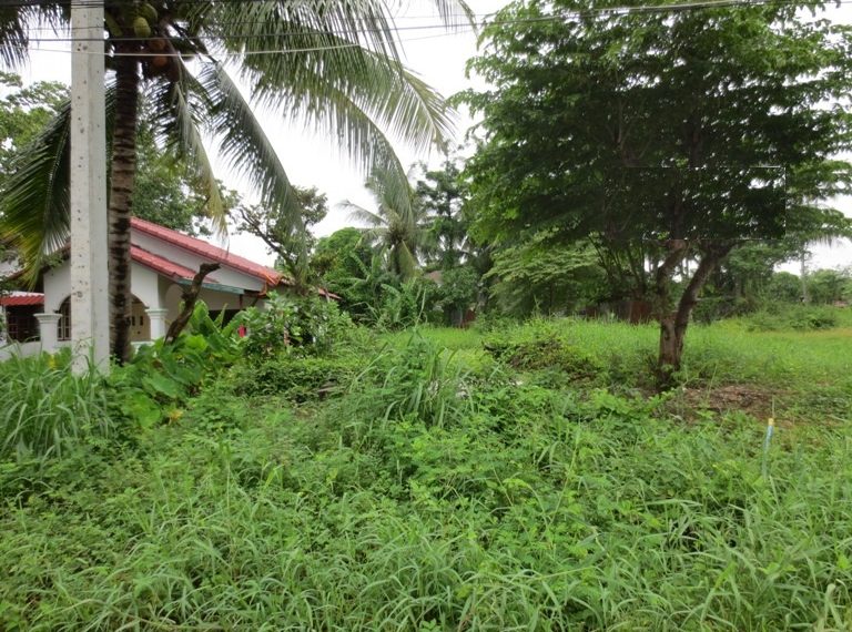 Land for sale(7)