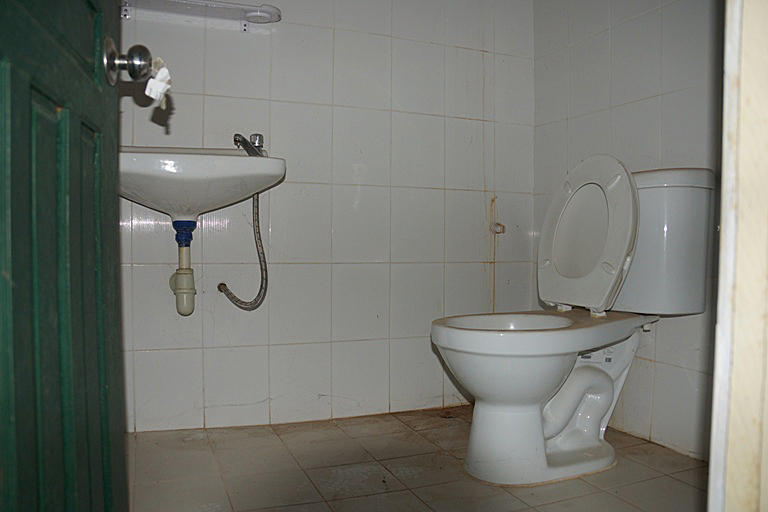 Nice villa house for sale in Vientiane (4)
