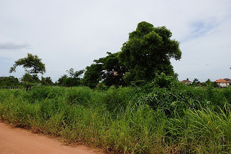 Property for sale in Vientiane (3)