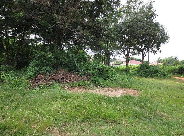 Property in laos (2)