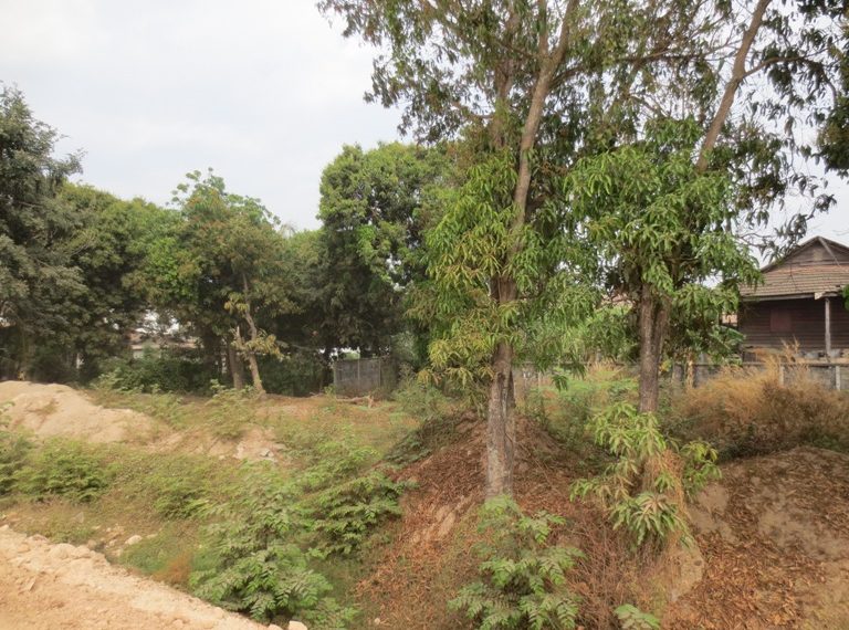 Residential For Sale  (2)