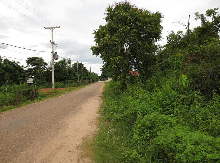 Residential For Sale (4)